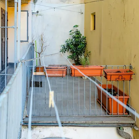 Vittorio Emanuele Ii By Toh Solution