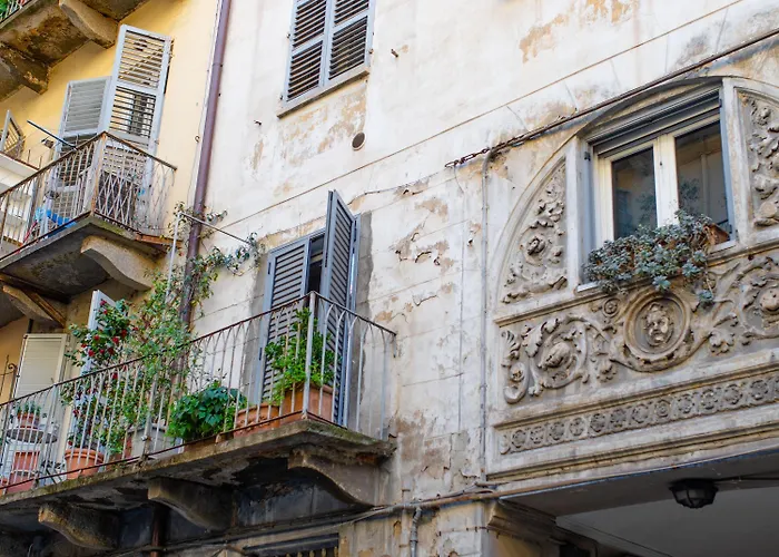 Vittorio Emanuele Ii By Toh Solution